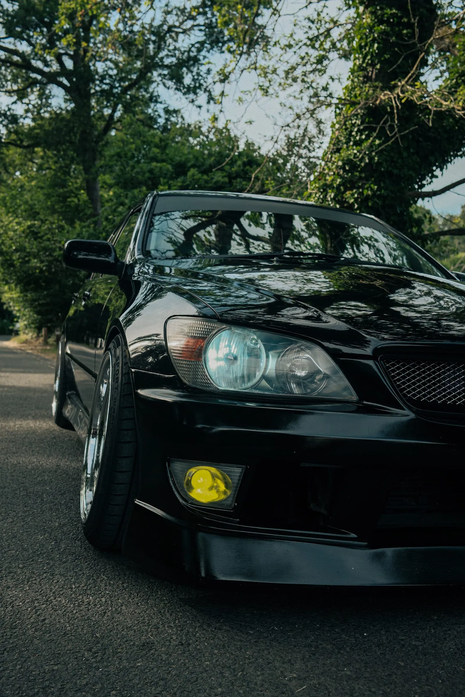 The front of the car and its yellow fog light, under the trees.